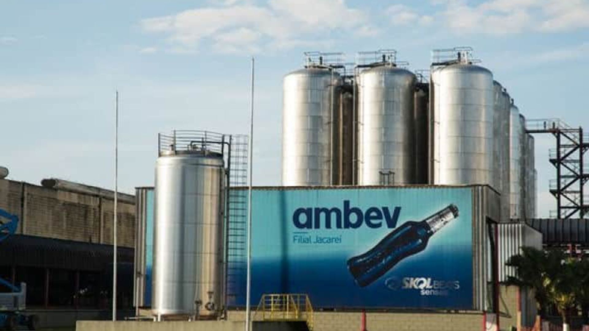 Divulgação Ambev (ABEV3)