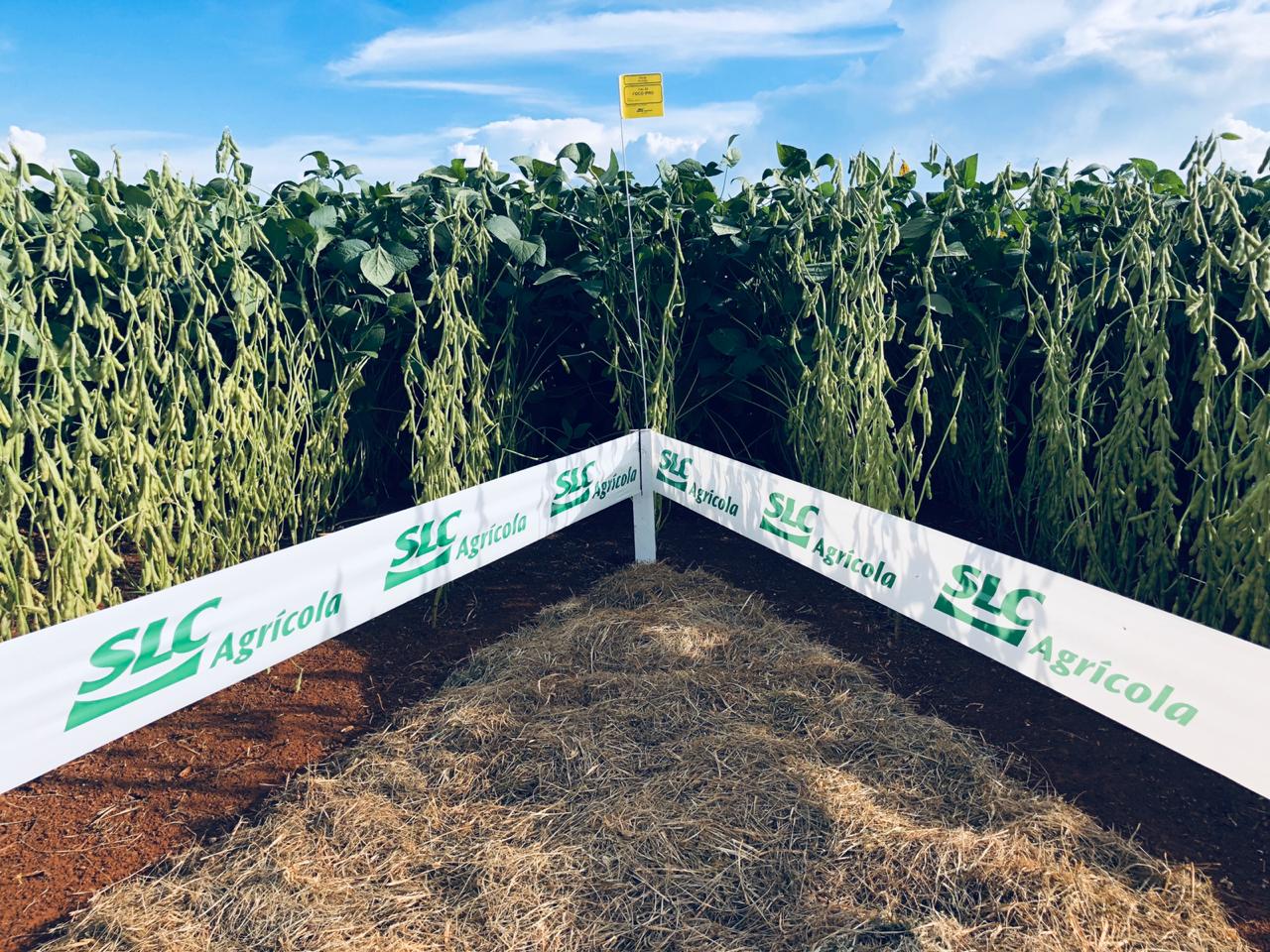 SLC Agrícola (SLCE3): balanço no 4TRI23