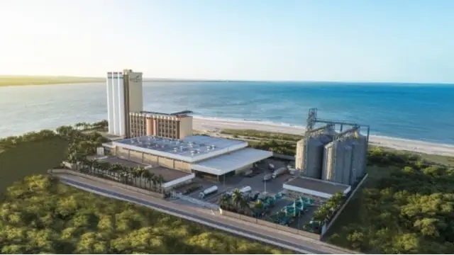 Ação da M. Dias Branco é um “mix agridoce”