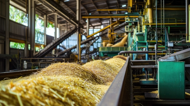 Jalles (JALL3) tem estratégia que blinda empresa contra a volatilidade do açúcar