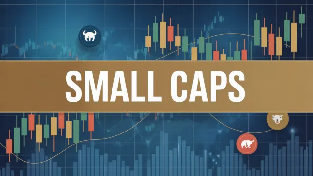 Chegou a vez das Small Caps na Bolsa brasileira?