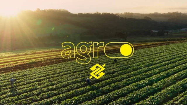 Vista aérea de uma plantação agrícola organizada em linhas verdes com o logotipo "Agro Banco do Brasil" sobreposto, sob a luz do sol nascente, representando o banco do brasil crédito rural.