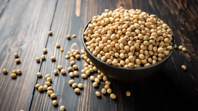 Boa Safra enfrenta pressão de margens em meio a excesso de sementes de soja, aponta XP