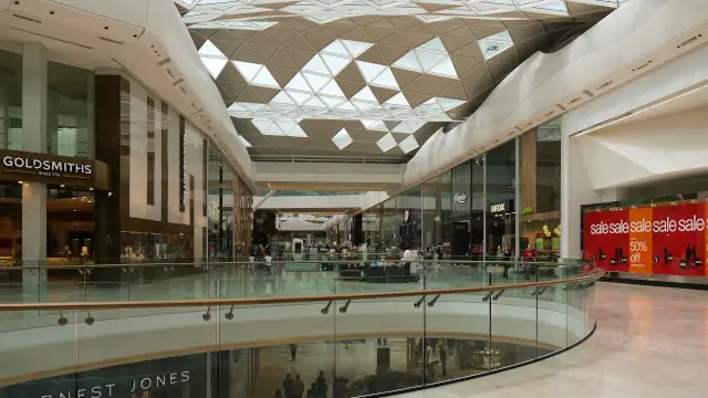 XPML11 anuncia novos dividendos; veja datas e detalhes